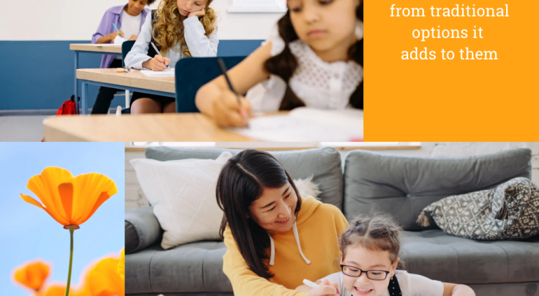 California Charter Schools Under Attack: Why Parents Can’t Afford to Lose This Educational Innovation